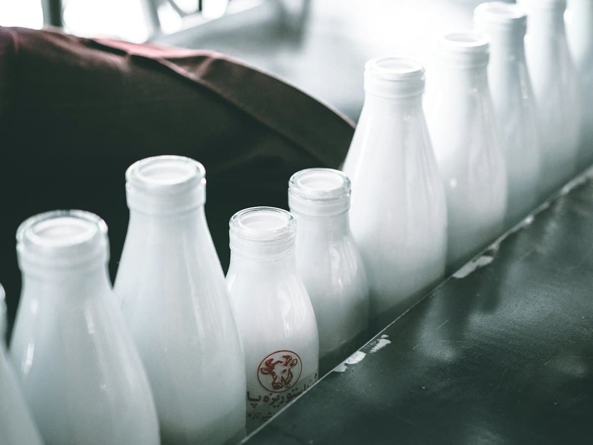 Fresh milk bottles